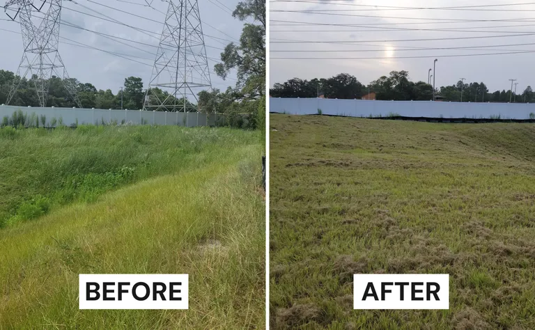 Lawn Maintenance