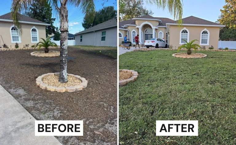 Sod Installation